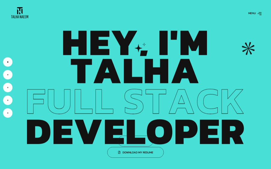 Talha Naeem portfolio screenshot